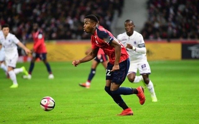 反应速度 反应速度